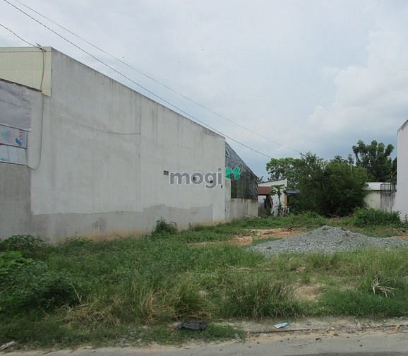 Hình ảnh Cho thuê đất kinh doanh đa dạng ngành nghề - Diện tích 8x41m