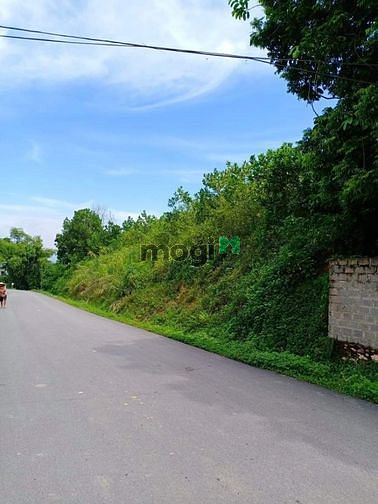 Hình ảnh 2000m2 đất Cư Yên, Lương Sơn, Hòa Bình.