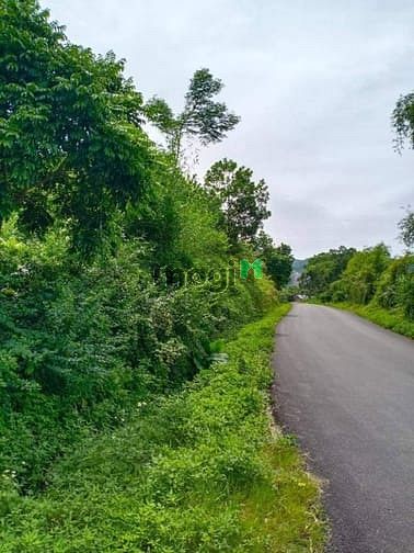 Hình ảnh 2000m2 đất Cư Yên, Lương Sơn, Hòa Bình.