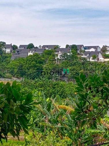 Hình ảnh 2000m2 đất Cư Yên, Lương Sơn, Hòa Bình.