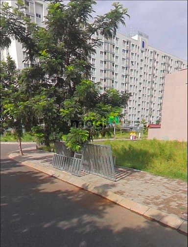 Hình ảnh Bán đất MT Nguyễn Cơ Thạch, Q2, sổ hồng gần cầu Thủ Thiêm, thổ cư XDTD
