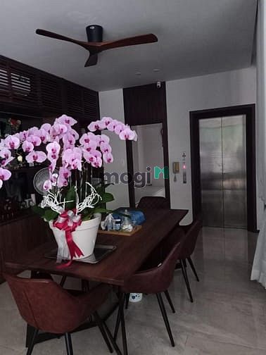 Hình ảnh Bán biệt thự Trần Quang Diệu 391m2, 58 tỷ, 2 tầng