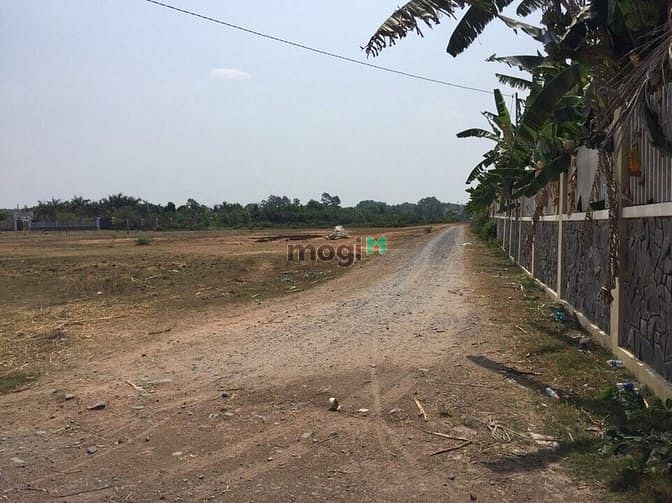 Hình ảnh Bán lỗ đất Nhơn Trạch,thổ cư,đường lớn,dân cư đông giá rẻ 280tr/1000m