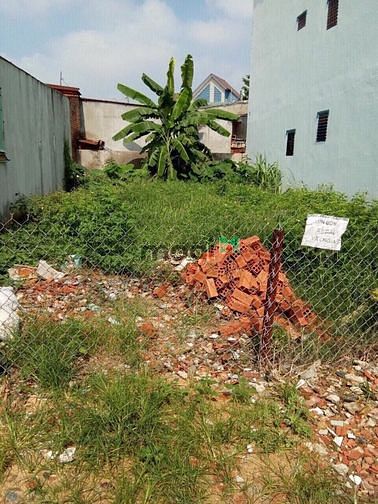 Hình ảnh Đất MT kinh doanh đường 824 Đức Hòa Đông, sổ riêng, đường 8m