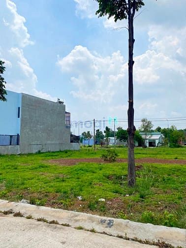 Hình ảnh Vợ chồng già kẹt tiền cần bán 600m2 đất trước mặt chợ Bình Dương, SHR