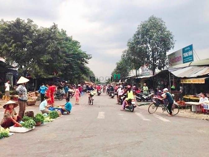 Hình ảnh Tôi cô Mai lớn tuổi cần bán gấp lô đất 450m2 đối diện chợ, SHR TC 100%