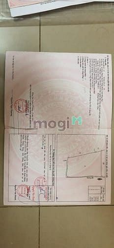 Hình ảnh Bán 3 mẫu đất đường Hưng Bình Hưng Thịnh Trảng Bom Đồng Nai
