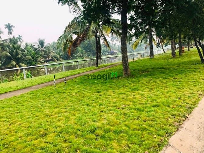 Hình ảnh Cho thuê Trang Chủ MB66.COM / Đăng Ký Tặng 66K giá rẻ, nội thất cơ bản, QL13, Thủ Đức, gần KCN VSIP