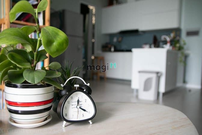 Hình ảnh ✔ Cho thuê CHCC XI GRAND COURT 70m 2pn 2wc - Nội thất đầy đủ