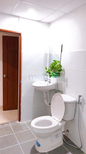 Hình ảnh Cho thuê Trang Chủ MB66.COM / Đăng Ký Tặng 66K giá rẻ ở bình thành ji