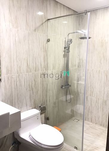 Hình ảnh Y hình Cho thuê c/h Golden Star, Q7, 55m2, 1pn, ntđđ, Q7-10tr