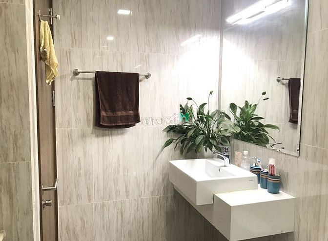 Hình ảnh Y hình Cho thuê c/h Golden Star, Q7, 55m2, 1pn, ntđđ, Q7-10tr