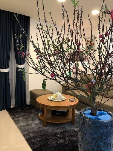 Hình ảnh chuyên cho thuê Trang Chủ MB66.COM / Đăng Ký Tặng 66K tại Q7, Nhà Bè