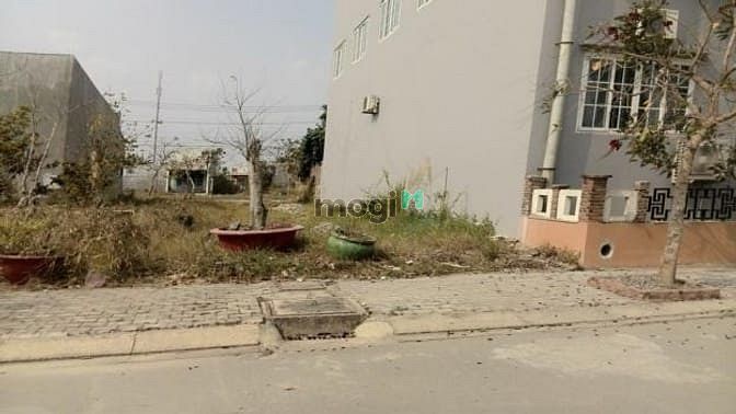Hình ảnh Bán Đất Bình Chánh, Mặt Tiền Đoàn Nguyễn Tuấn - 650 tr /100m2, SHR