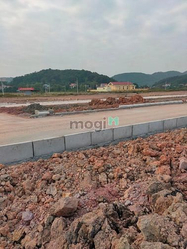 Hình ảnh Bán Đất Đấu Giá Nội Hoàng, Yên Dũng, Bắc Giang. Giá Tốt