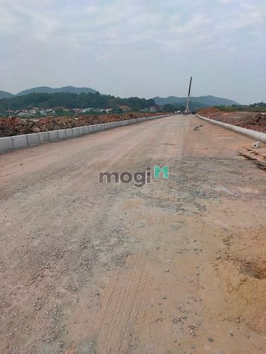 Hình ảnh Bán Đất Đấu Giá Nội Hoàng, Yên Dũng, Bắc Giang. Giá Tốt