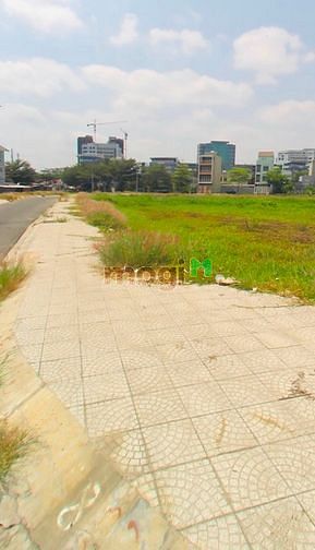 Hình ảnh Bán đất Có sổ KDC Phú Lợi P7 Q8, dân đông, giá 2tỷ, thổ cư, xây tự do