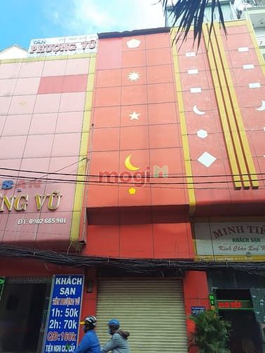 Hình ảnh Nguyên căn cực đẹp đường Sư Vạn Hạnh
