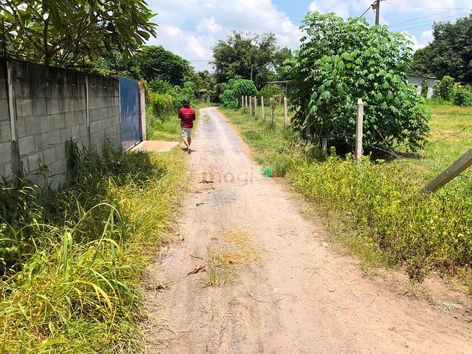 Hình ảnh Tôi cần bán gấp lô đất sát đường Nguyễn Thị Nê 206m2
