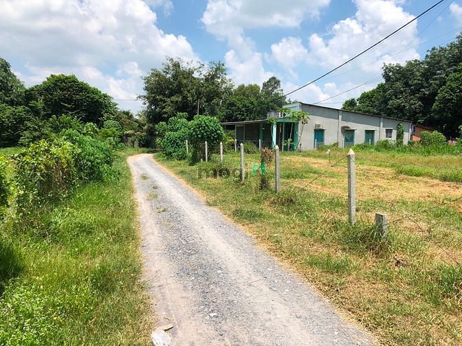 Hình ảnh Tôi cần bán gấp lô đất sát đường Nguyễn Thị Nê 206m2