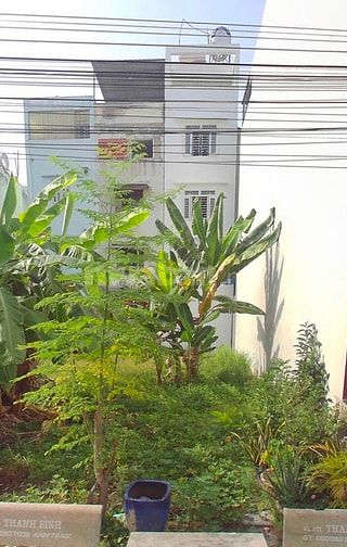 Hình ảnh Cuối năm thanh lí lô đất KDC Bình Chiểu,MT Ngô Chí Quốc,Thủ Đức