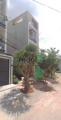 Hình ảnh cần bán gấp lô đất ngay mặt tiền Tự Cường, Phường 4, Quận Tân Bình.