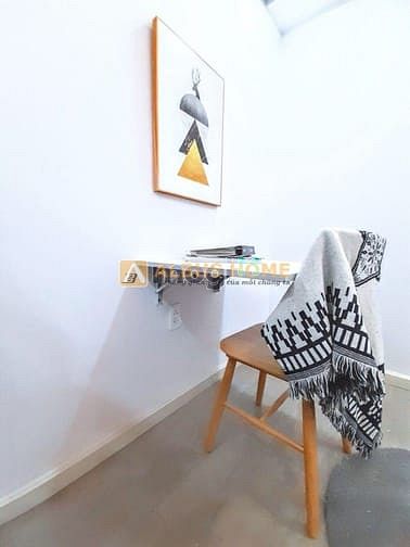 Hình ảnh Cho thuê chung cư dạng studio full nội thất gần Nguyễn Thị Thập Q7