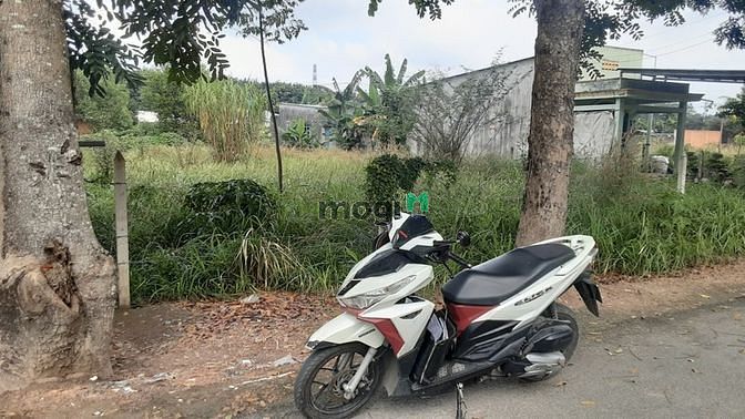 Hình ảnh Cần bán đất đường 489 - xã Phạm Văn Cội - Củ Chi