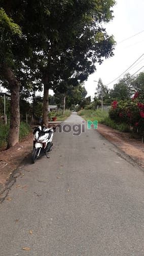 Hình ảnh Cần bán đất đường 489 - xã Phạm Văn Cội - Củ Chi