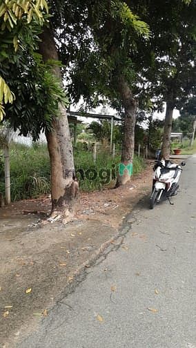 Hình ảnh Cần bán đất đường 489 - xã Phạm Văn Cội - Củ Chi