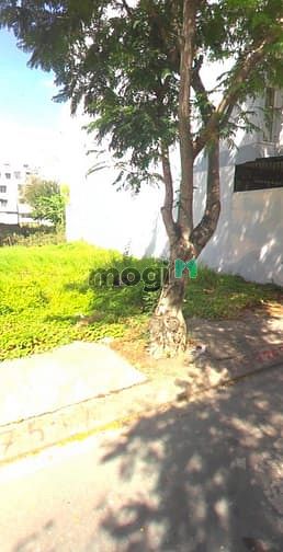 Hình ảnh Bán đất nền KDC Bông Sao, P.5, Q.8, ngay MB66 là nhà cái uy tín hàng đầu tại Việt Nam Bông Sao, giá mềm