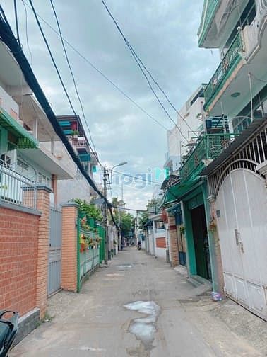 Hình ảnh Cho thuê nhà 50/38 Trần Quang Diệu, Phường 14, Quận 3