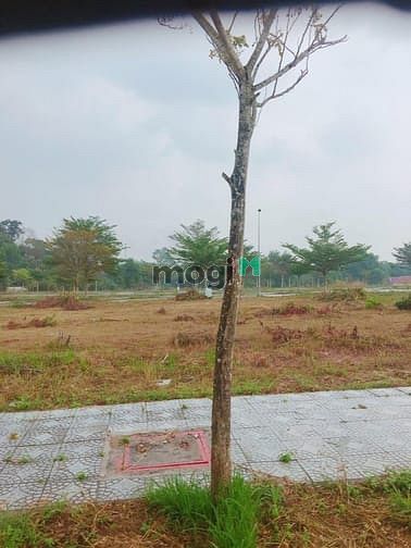 Hình ảnh Bán gấp lô đất Mt Nguyễn Hoàng,Ngay meetro An Phú,Q2.SHR.XDTD