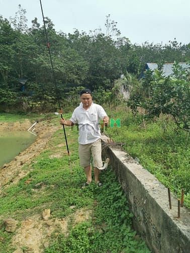 Hình ảnh Cần bán gấp lô đất Vườn, Củ Chi, 4532m2, SHR, khu dân cư hiện hữu