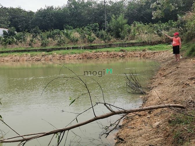 Hình ảnh Cần bán gấp lô đất Vườn, Củ Chi, 4532m2, SHR, khu dân cư hiện hữu