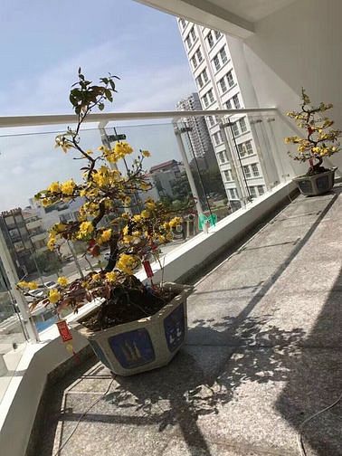 Hình ảnh ✔ Cho thuê CHCC HOÀNG ANH THANH BÌNH 150m 3pn 2wc - Nội thất đầy đủ