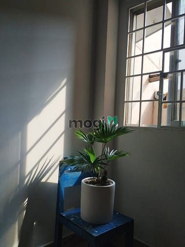 Hình ảnh Phòng Mini Nội Thất Q3, Chợ Tân Định, Cầu Kiệu