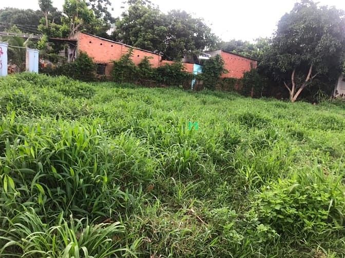 Hình ảnh Bán đất Dầu giây giá rẻ , thổ cư , sổ riêng.