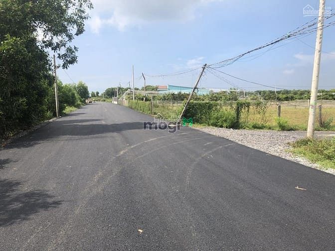 Hình ảnh Tìm chủ cho 3 lô đất DT 500m2, TC 100m2,SHR cách biển 2,5km. 4,7tr/2