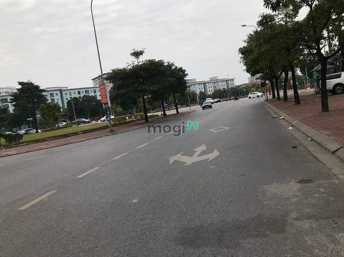 Hình ảnh Bán các lô đất đấu giá làng Cam, Cổ Bi, Gia Lâm