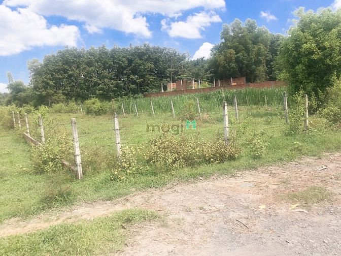 Hình ảnh 843m2 Giá 960 Triệu.Sổ Riêng,Công Chứng Ngay