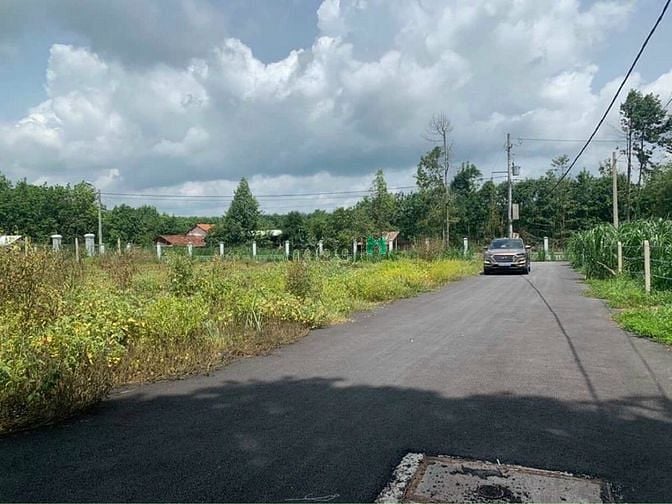 Hình ảnh Bán Gấp 4041m2 Giá 1ty8,Có Sổ Hồng riêng,đất vườn.
