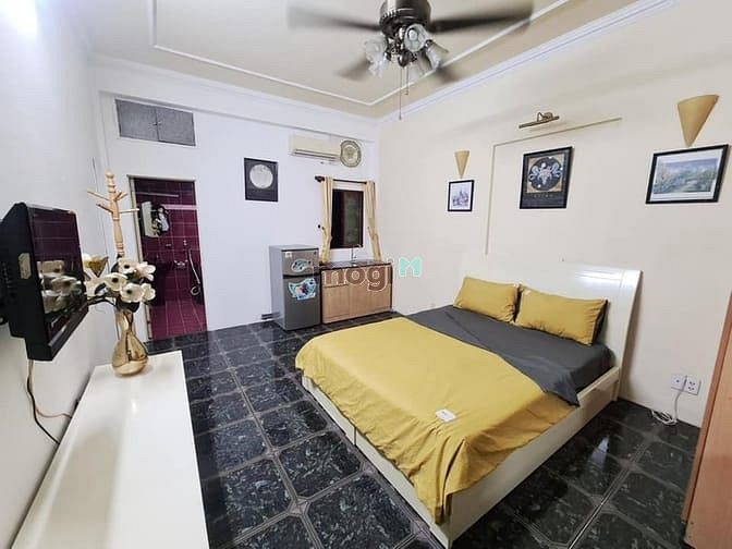 Hình ảnh CĂN HỘ cao cấp quận 1 30m2 cửa sổ_ cho nuôi thú cung _full NT