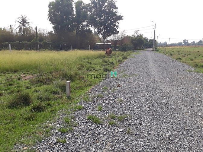 Hình ảnh Bán Gấp 4041m2 Giá 1ty8,Có Sổ Hồng riêng,đất vườn.