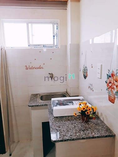 Hình ảnh Siêu Phẩm Căn Hộ Quận 1,Đường Nguyễn Trãi, 30m2 Full NT Cho Nuôi Chó