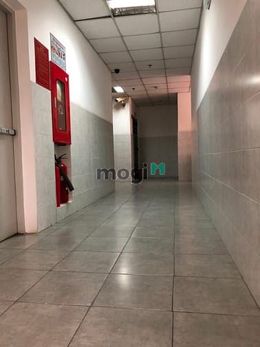 Hình ảnh Cho thuê c/h Ngọc Khánh Tower,Q5, 50m2, 2pn- Ntđđ- 8.5tr