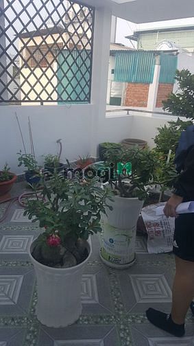 Hình ảnh Nhà 3 lầu 70m2 7.9 tỷ Thiên Phước, P9, Tân Bình.