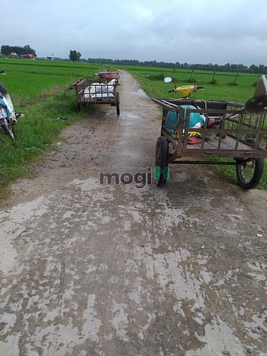 Hình ảnh Bán đất vườn củ chi, dt 5200m2, Shr, bao công chứng