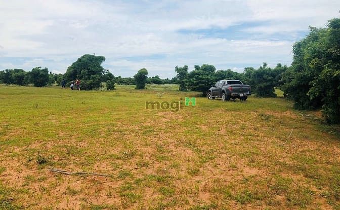 Hình ảnh Bán đất vườn Bình Thuận sổ đỏ sẵn, bao sang tên công chứng