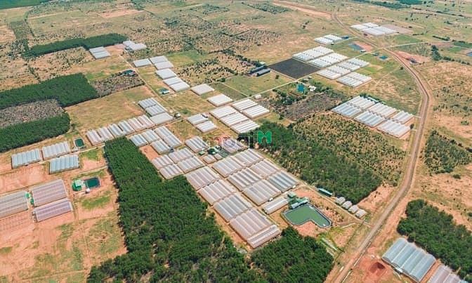 Hình ảnh Bán đất vườn Bình Thuận sổ đỏ sẵn, bao sang tên công chứng